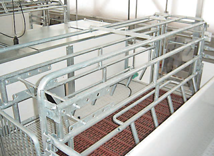 種豚ストール＆育成ケージ（高床式） | 養豚機器 | 中嶋製作所